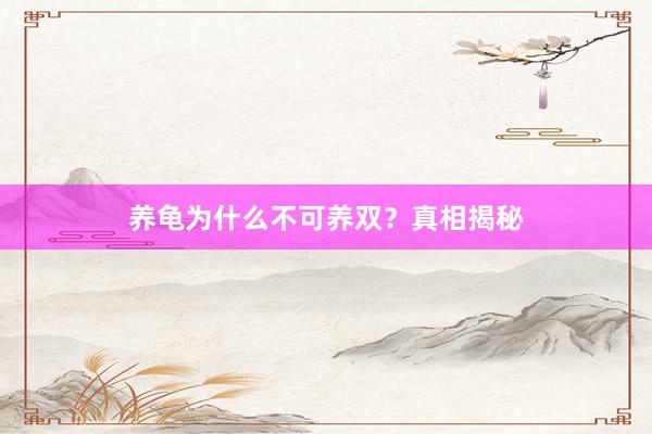 养龟为什么不可养双？真相揭秘