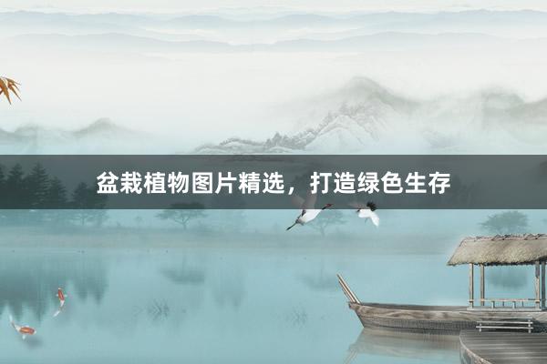 盆栽植物图片精选，打造绿色生存